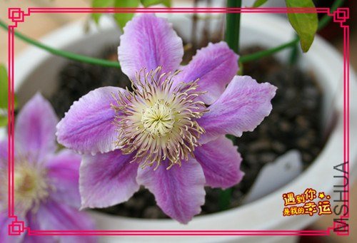 ��Ƭ 087_����.jpg