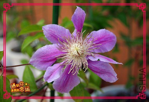 ��Ƭ 089_����.jpg