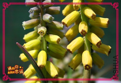 ��Ƭ 076_����.jpg