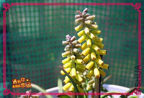 ��Ƭ 075_����.jpg