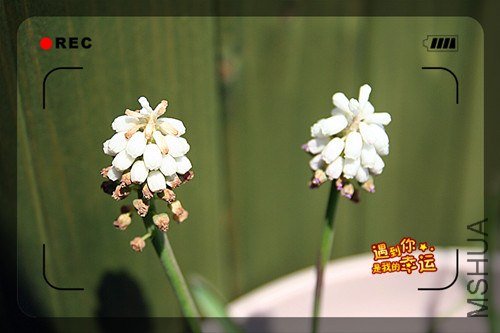 ��Ƭ 055_����.jpg