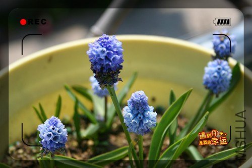 ��Ƭ 058_����.jpg