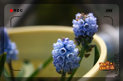 ��Ƭ 060_����.jpg