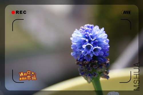 ��Ƭ 061_����.jpg