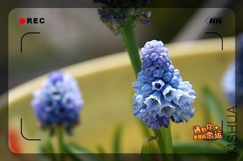 ��Ƭ 062_����.jpg