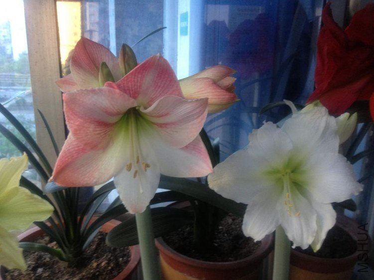 ��Ƭ 028.jpg