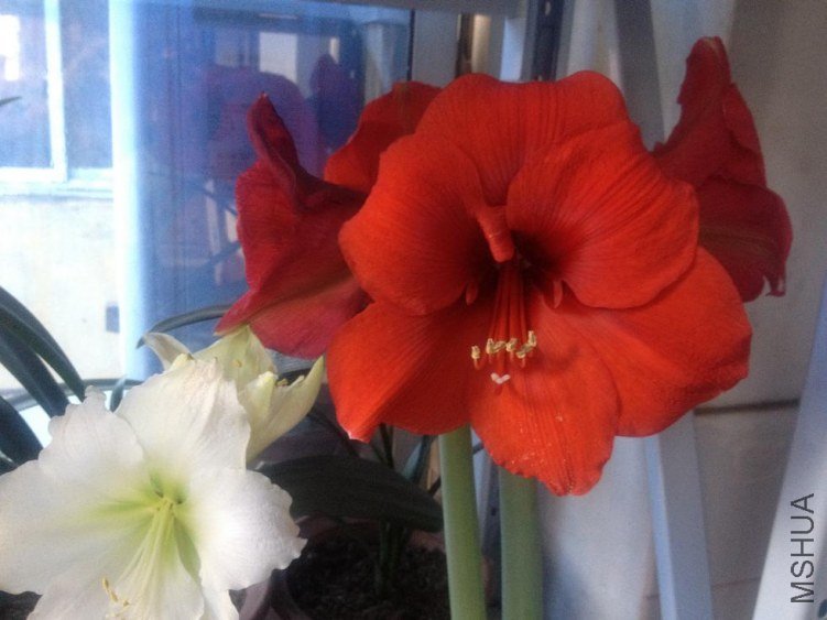 ��Ƭ 029.jpg