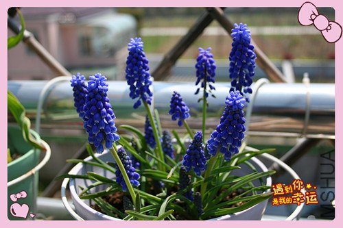 ��Ƭ 064_����.jpg