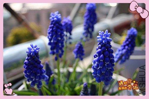 ��Ƭ 068_����.jpg