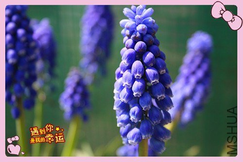 ��Ƭ 069_����.jpg