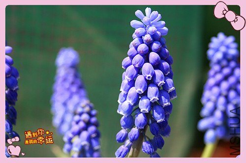 ��Ƭ 070_����.jpg