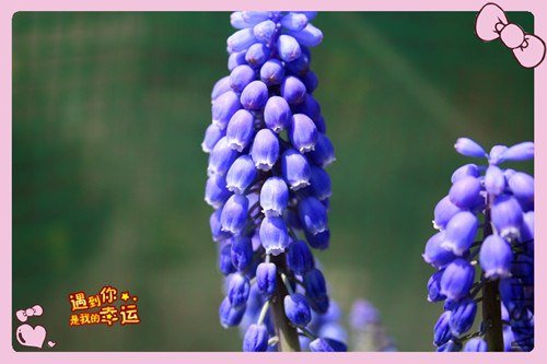 ��Ƭ 071_����.jpg