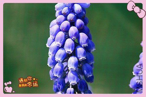 ��Ƭ 073_����.jpg