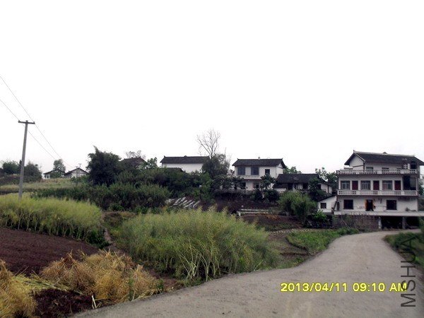 SDC16557.jpg