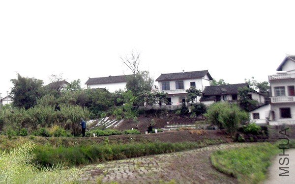 SDC16558.jpg