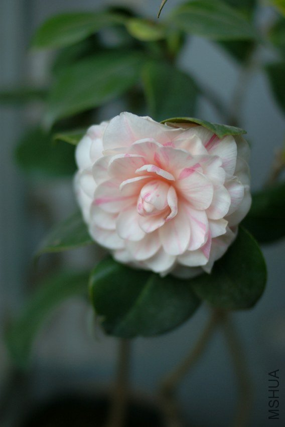 DSC00345.JPG
