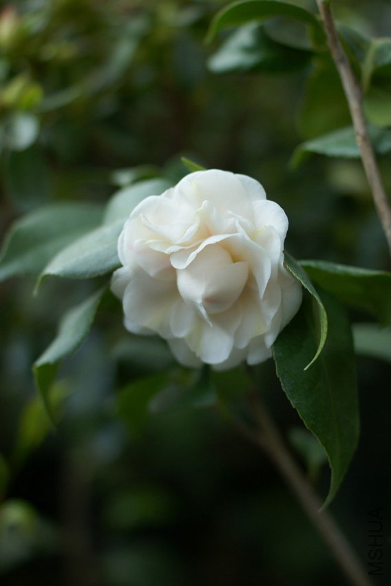 DSC00357.JPG