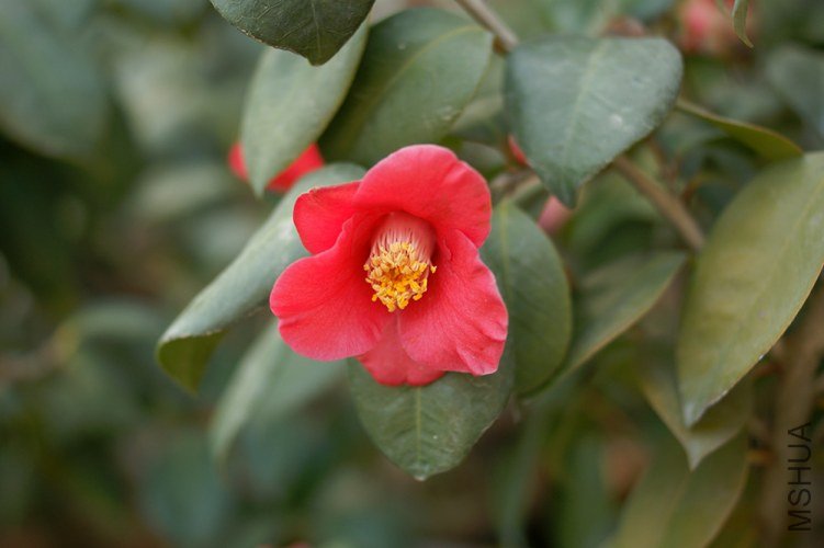 DSC00375.JPG