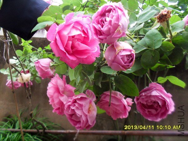 SDC16572.jpg