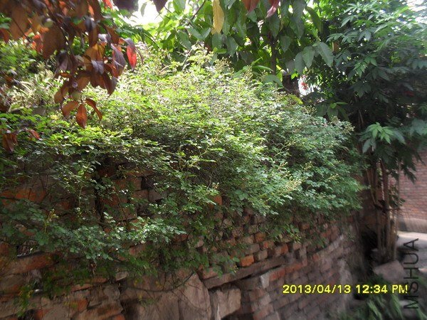 SDC16588.jpg