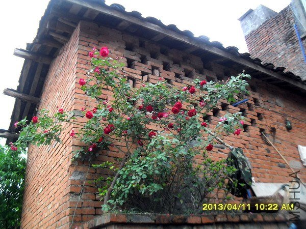 SDC16580.jpg