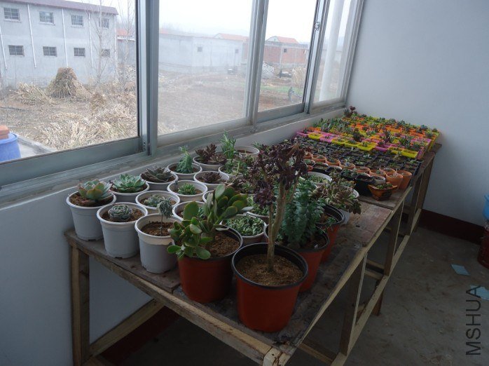 ���ϸ��������Ƭ