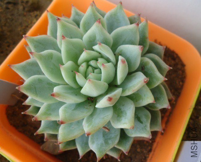 ��������˰�    5555