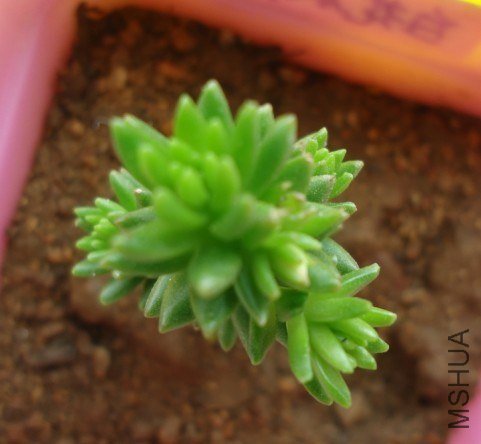 �յĲ���ô�ÿ��� 