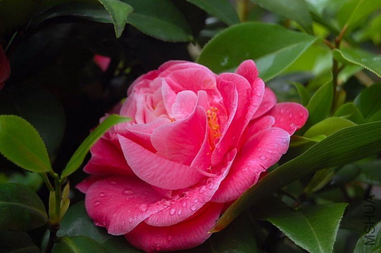 DSC_00010001.JPG