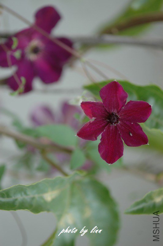 DSC_3172.jpg