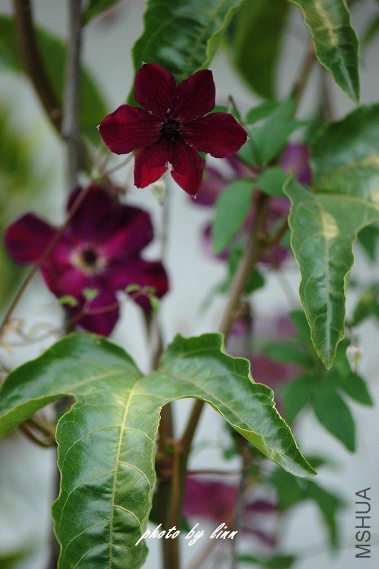 DSC_3173.jpg