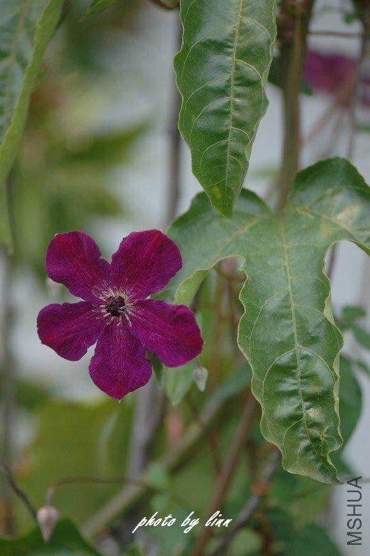 DSC_3174.jpg