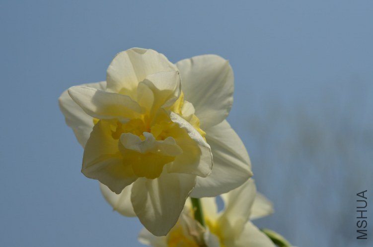 DSC_0070.JPG