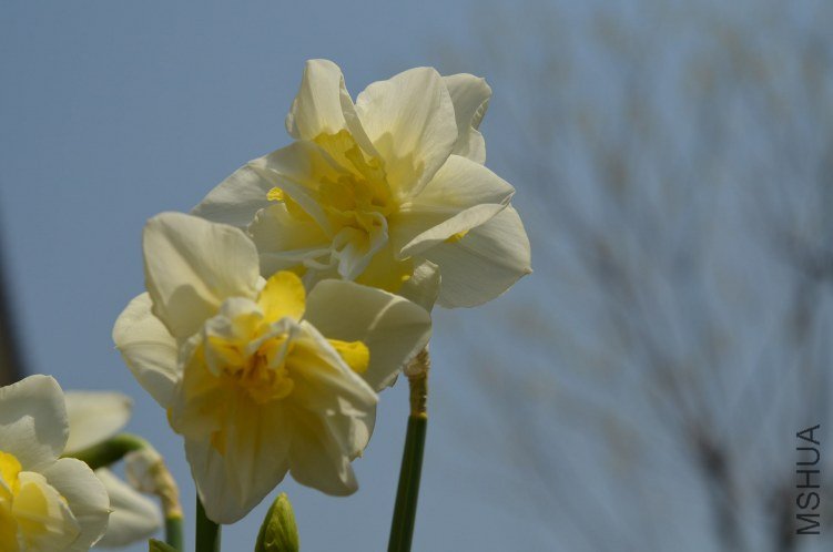 DSC_0071.JPG