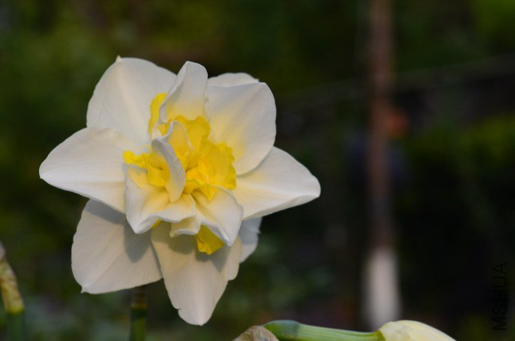 DSC_0038.JPG