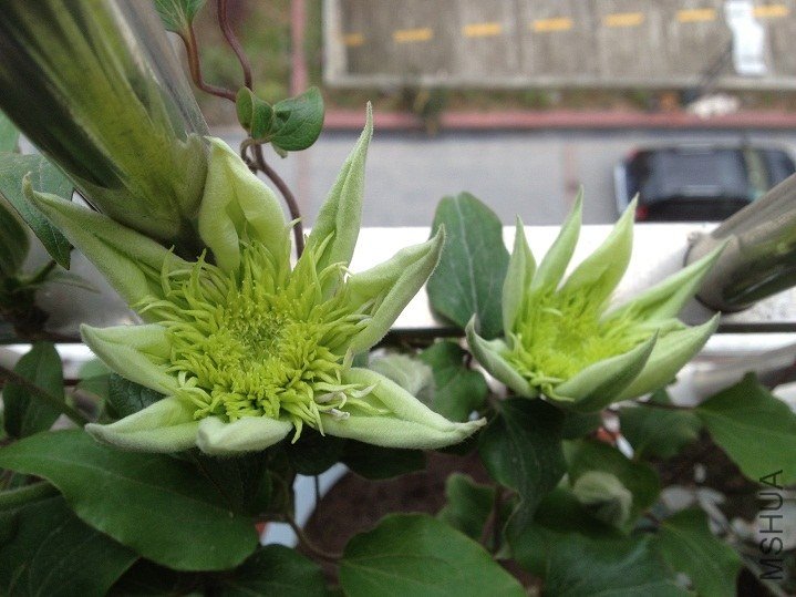 4.JPG