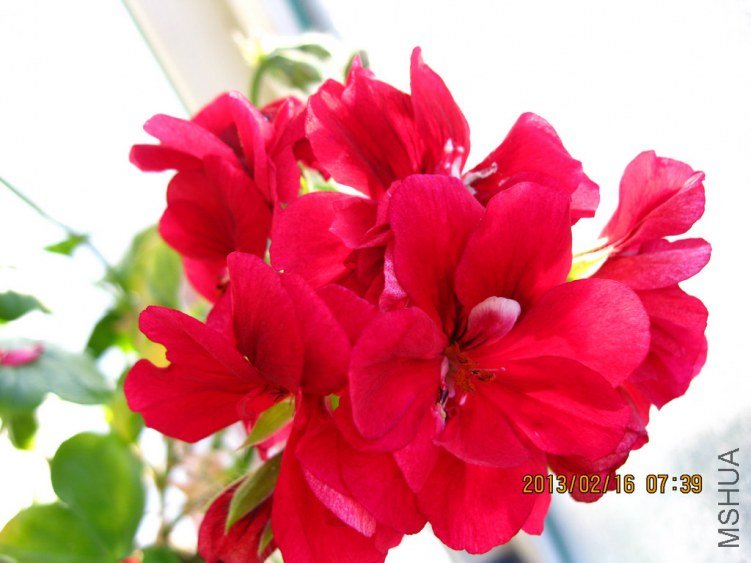 921��68��ȷ��