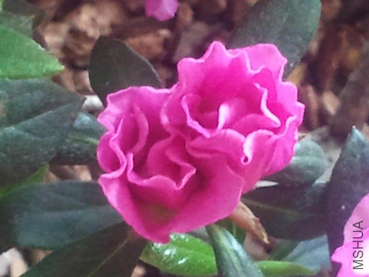 2013-04-13 12.13.20.JPG