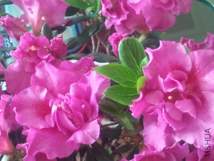 2013-04-13 12.11.07.JPG
