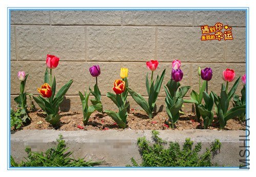 ��Ƭ 054_����.jpg