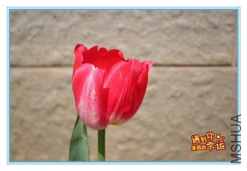 ��Ƭ 056_����.jpg