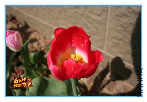 ��Ƭ 057_����.jpg