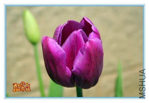 ��Ƭ 059_����.jpg