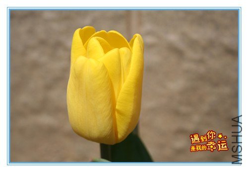 ��Ƭ 060_����.jpg