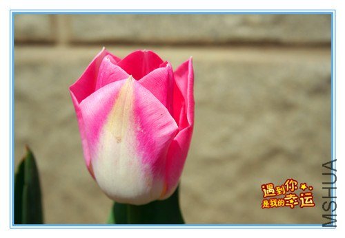 ��Ƭ 062_����.jpg