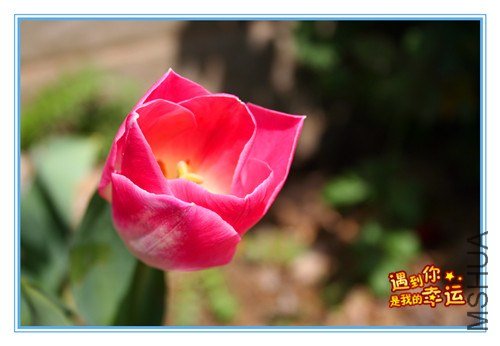 ��Ƭ 064_����.jpg