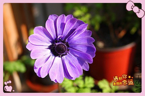 ��Ƭ 010_����.jpg