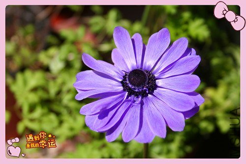 ��Ƭ 011_����.jpg