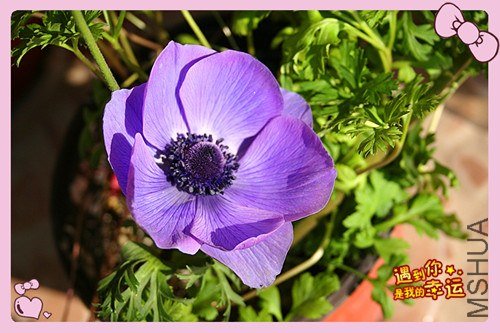 ��Ƭ 012_����.jpg