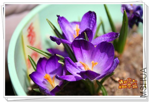 ��Ƭ 052_����.jpg